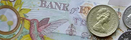 Bank notes and coins