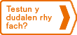 Testun y dudalen rhy fach?