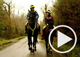 watch Horse Sense video